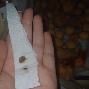 Lezita Çıtır Kova'dan Beklenmedik Sürprizler