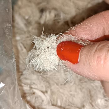 Ekstra Marketten Aldığım Pişmaniyede Böcek Şoku