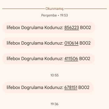 Güvenlik Sorusu Engeliyle Anılarım Kayboldu