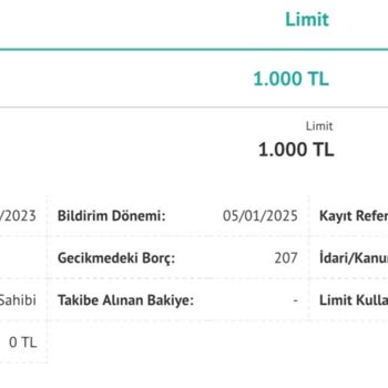 Kredi Kartı Ekstre Borcu Yanlış Görünüyor