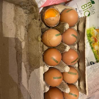 Siparişimdeki Kırık Yumurtalar Ve Tarihi Geçmiş Tavuk