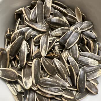 Yılbaşı Öncesi Kalitesiz Kuruyemiş Şoku