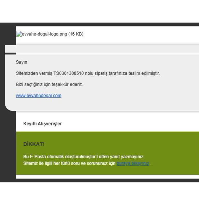 Kargo Teslimatında Yaşanan Sorunlar Ve Müşteri Memnuniyetsizliği