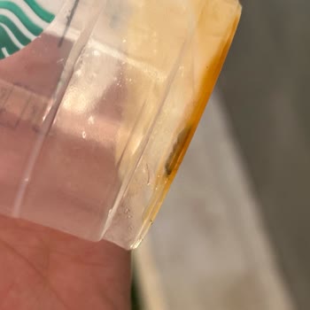 Ünlü Markadan Şok Edici Böcekli İçecek Deneyimi