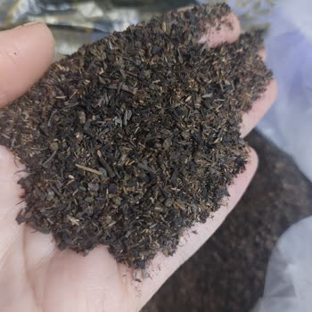 İBB'nin Yardım Kolisindeki Çayın İçler Acısı Durumu