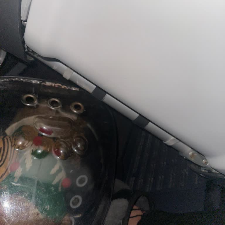 Ajet Evcil Hayvanla Seyahatte İnsanlık Dışı Uygulama