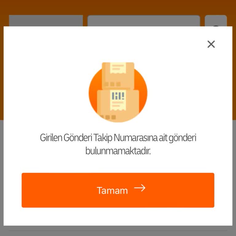Kargo Takip Sorunu Ve Müşteri Hizmetlerine Ulaşamama