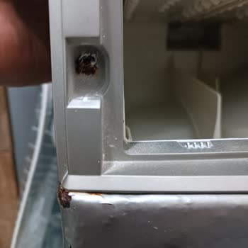 Bosch Ürünün Beklenmedik Çürümesi