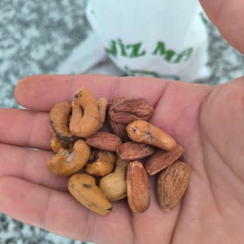 Bozulmuş Kuruyemişler Ve Eksik Fotoğraf Özelliği