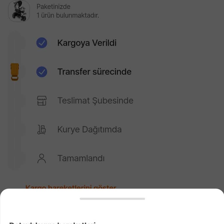 Teslim Edilmeyen Paket Ve Yetersiz Müşteri Hizmetleri