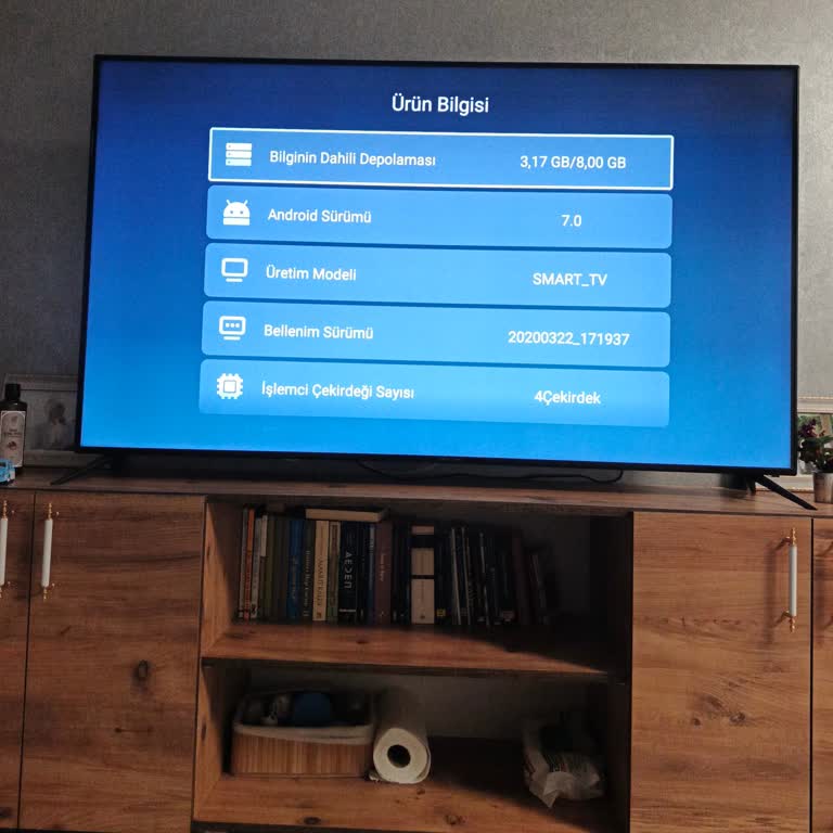 Garanti Kapsamındaki TV İnternete Bağlanmıyor