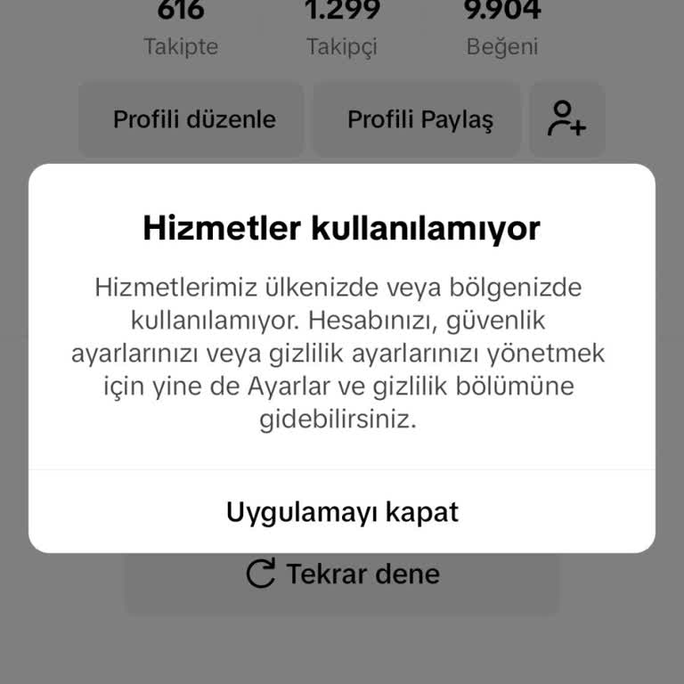 TikTok Erişim Sorunu Ve Müşteri Hizmetleri Eksikliği
