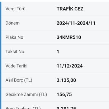 Depozito Alındı, Ceza Bilgisi Verilmedi