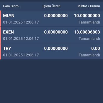 Bitexen Hesabımda Aniden Sıfırlanan Bakiye Şoku