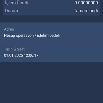 Bitexen Hesabımda Aniden Sıfırlanan Bakiye Şoku