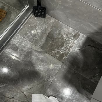 Kochler Akıllı Kedi Tuvaleti: Koku Sorunu Ve İade Talebi