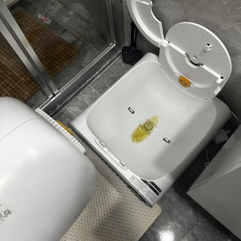 Kochler Akıllı Kedi Tuvaleti: Koku Sorunu Ve İade Talebi