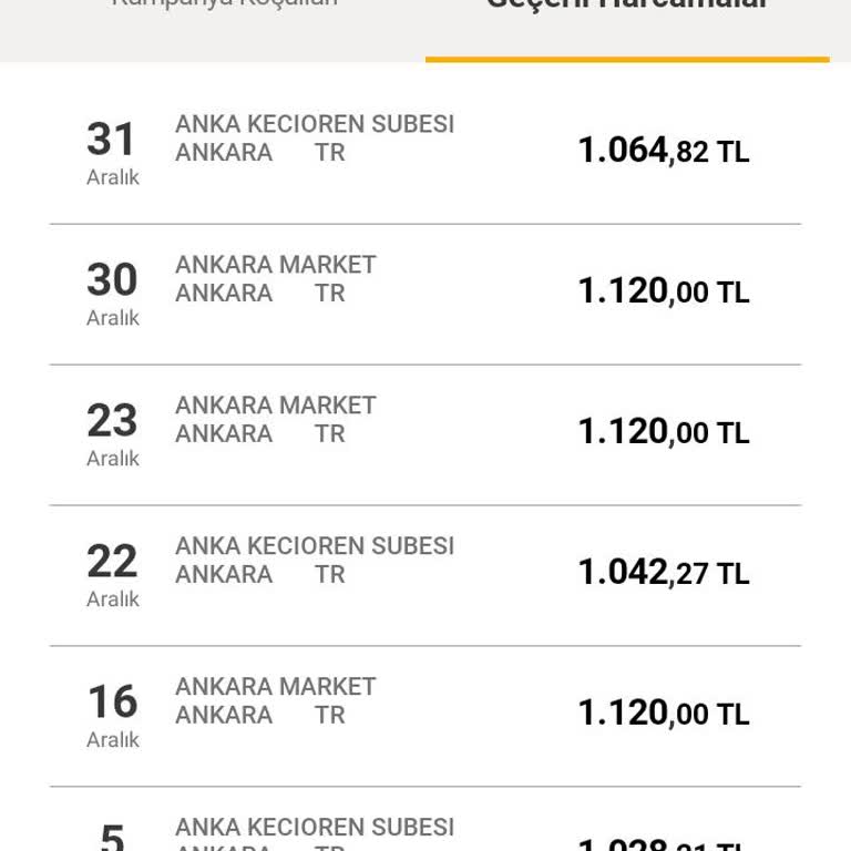 VakıfBank Kampanya Ödülü Yüklenmedi