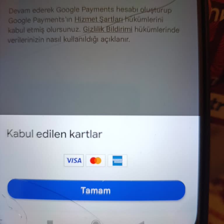 Troy Kart İle Yerli Platform Engelini Aşmak