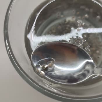 Chia Tohumunda Böcek Şoku!