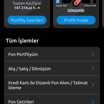 Yapı Kredi Altın Fonundaki Anlamsız Değişimler
