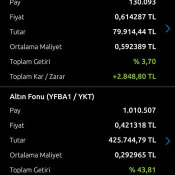 Yapı Kredi Altın Fonundaki Anlamsız Değişimler