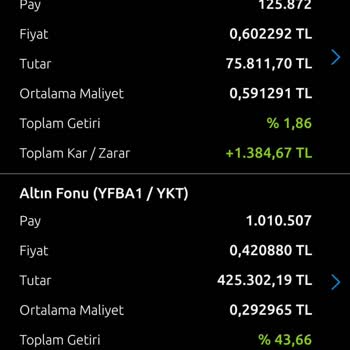 Yapı Kredi Altın Fonundaki Anlamsız Değişimler