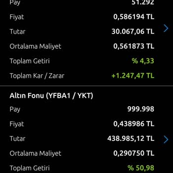 Yapı Kredi Altın Fonundaki Anlamsız Değişimler