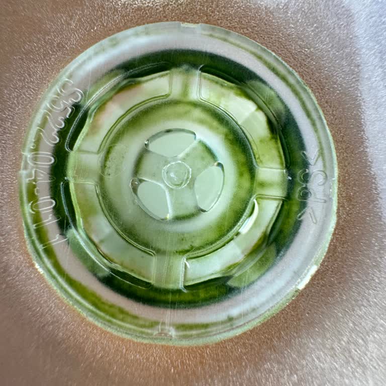 Brita Marella Sürahi Filtre Bölümünde Yosun Sorunu