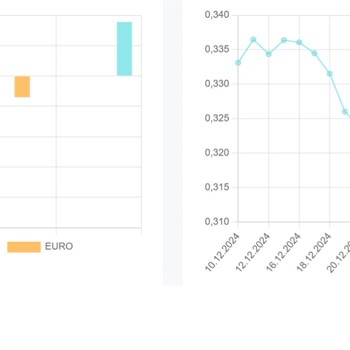 Altın Fonu Performansındaki Uyumsuzluk