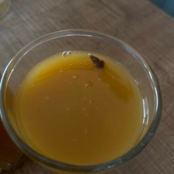 Meyve Suyunda Hamam Böceği Şoku