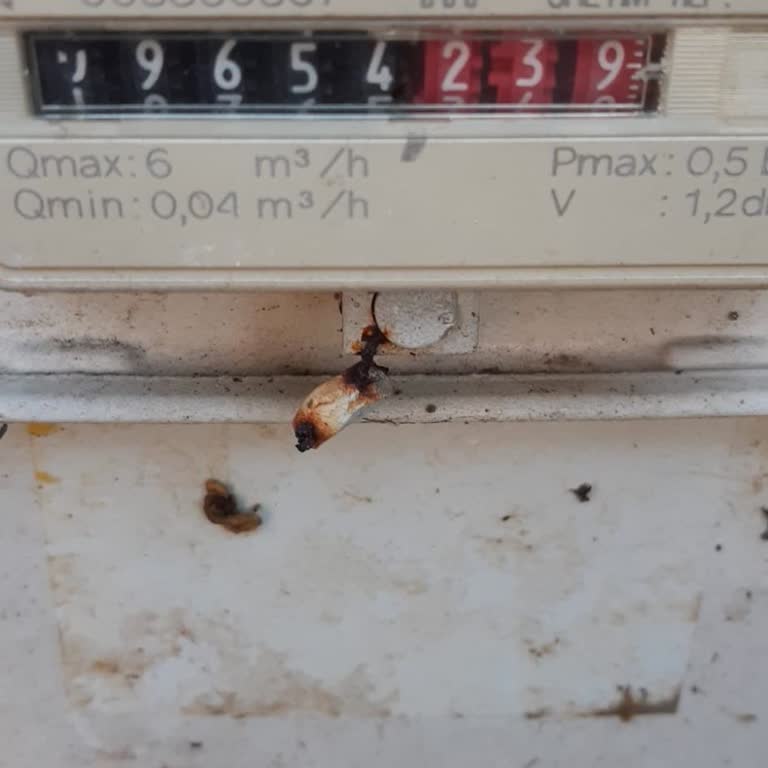 Sayaç Okunmadan Fatura Kesintisi Sorunu