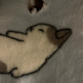 Beko Çamaşır Makinesi: Sürekli Sorunlar Ve Servis Mağduriyeti