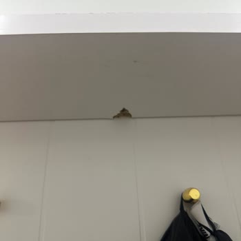 Kurulum Zorluğu Ve Kalitesiz Parçalarla Hayal Kırıklığı