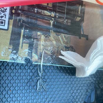 Hamburgerde Tavuk Tüyü Şoku: Akyakapark AVM Deneyimi