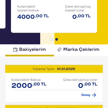 Pluxee Çeki Kullanılamıyor: Geçici Mi Kalıcı Mı?