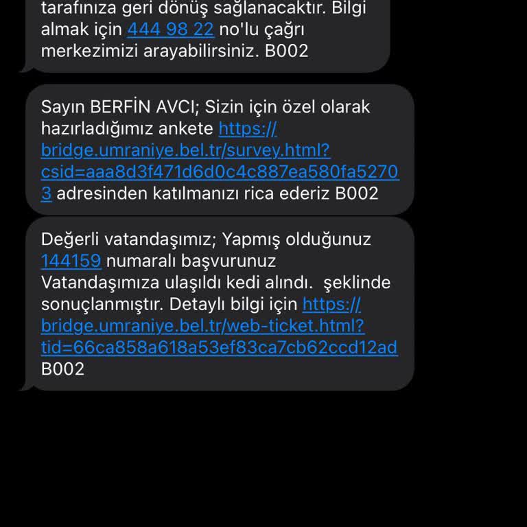 Kedi Tedavi Sürecinde İletişim Eksikliği Ve Bilgilendirme Sorunu