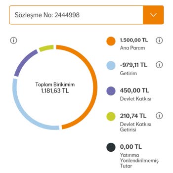 Bireysel Emeklilikte Beklenmedik Zarar