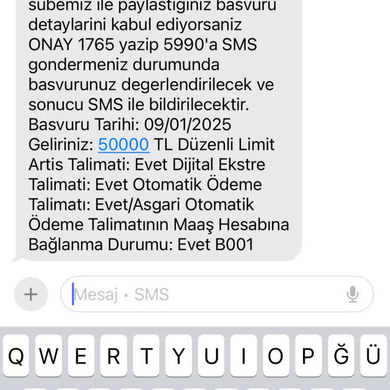 İzinsiz Kredi Kartı Başvurusu Onayı