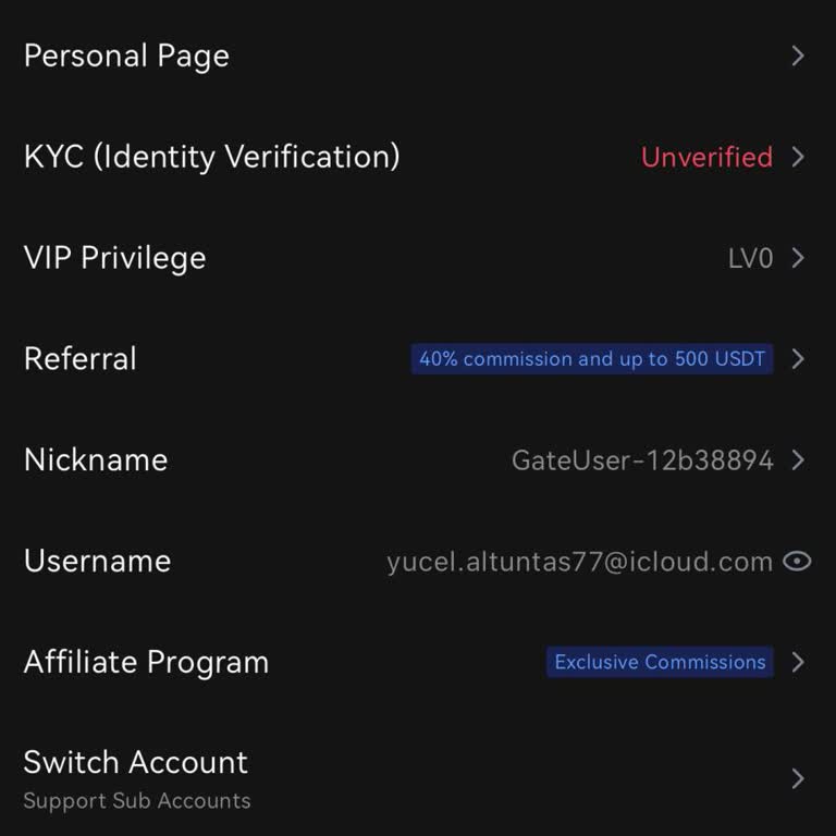 Gate.io Borsa Hesabında Gizemli Para Kaybı!