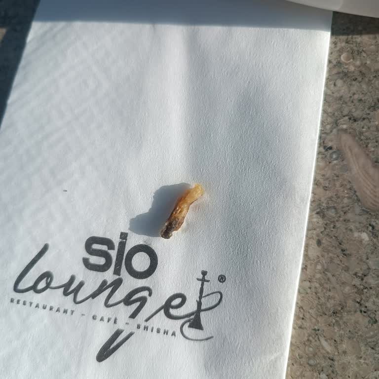 Sio Lounge İçeceklerimizin İçinde Ne Olduğu Belli Olmayan, Birden Fazla Garip Şey Çıktı!