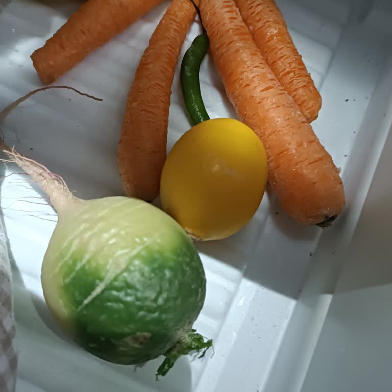 Siemens Ev Aletleri Buzdolabında Sürekli Soğutma Sorunu Ve Yetersiz Servis Desteği!