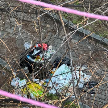 Parkın Güvenlik Ve Temizlik Sorunları