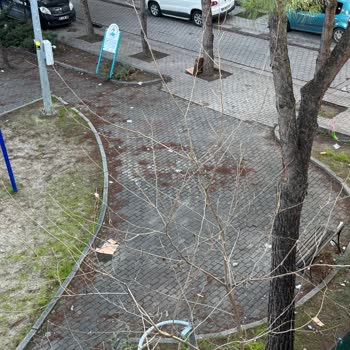 Parkın Güvenlik Ve Temizlik Sorunları