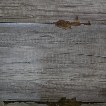Arçelik Bulaşık Makinesi Su Sızıntısı Ve Müşteri Mağduriyeti