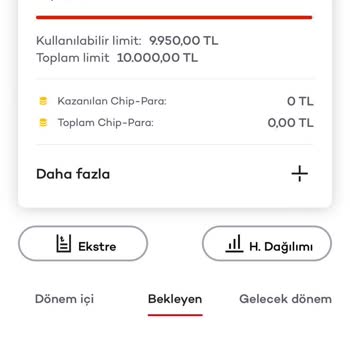 Kredi Kartı Borcu Ve Limit Sorunları: Yanıtsız Talepler Ve Yasal Faiz Endişesi