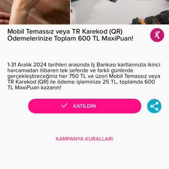 Maxi Puanlarım Neden Tanımlanmadı?