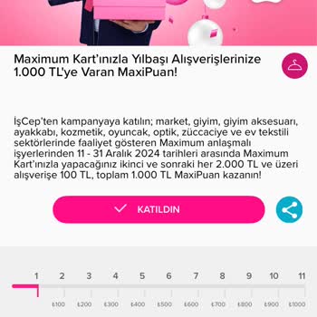 Maxi Puanlarım Neden Tanımlanmadı?