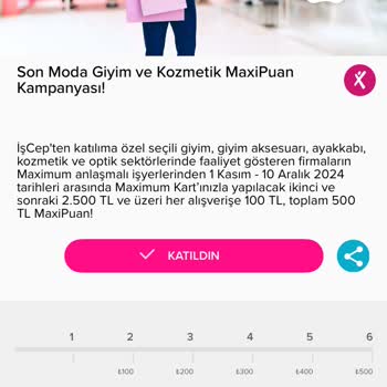 Maxi Puanlarım Neden Tanımlanmadı?
