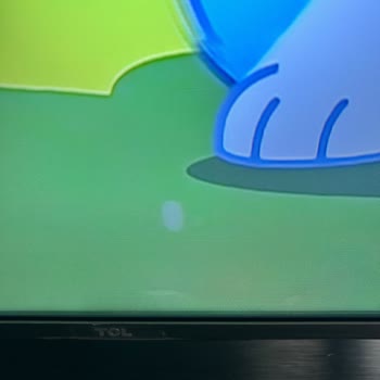 TCL Televizyonumun Bitmeyen Arızaları Ve Yetersiz Servis Hizmeti